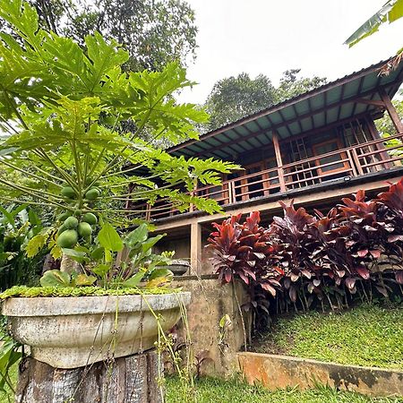 Sang Tirta Resort Penebel Экстерьер фото