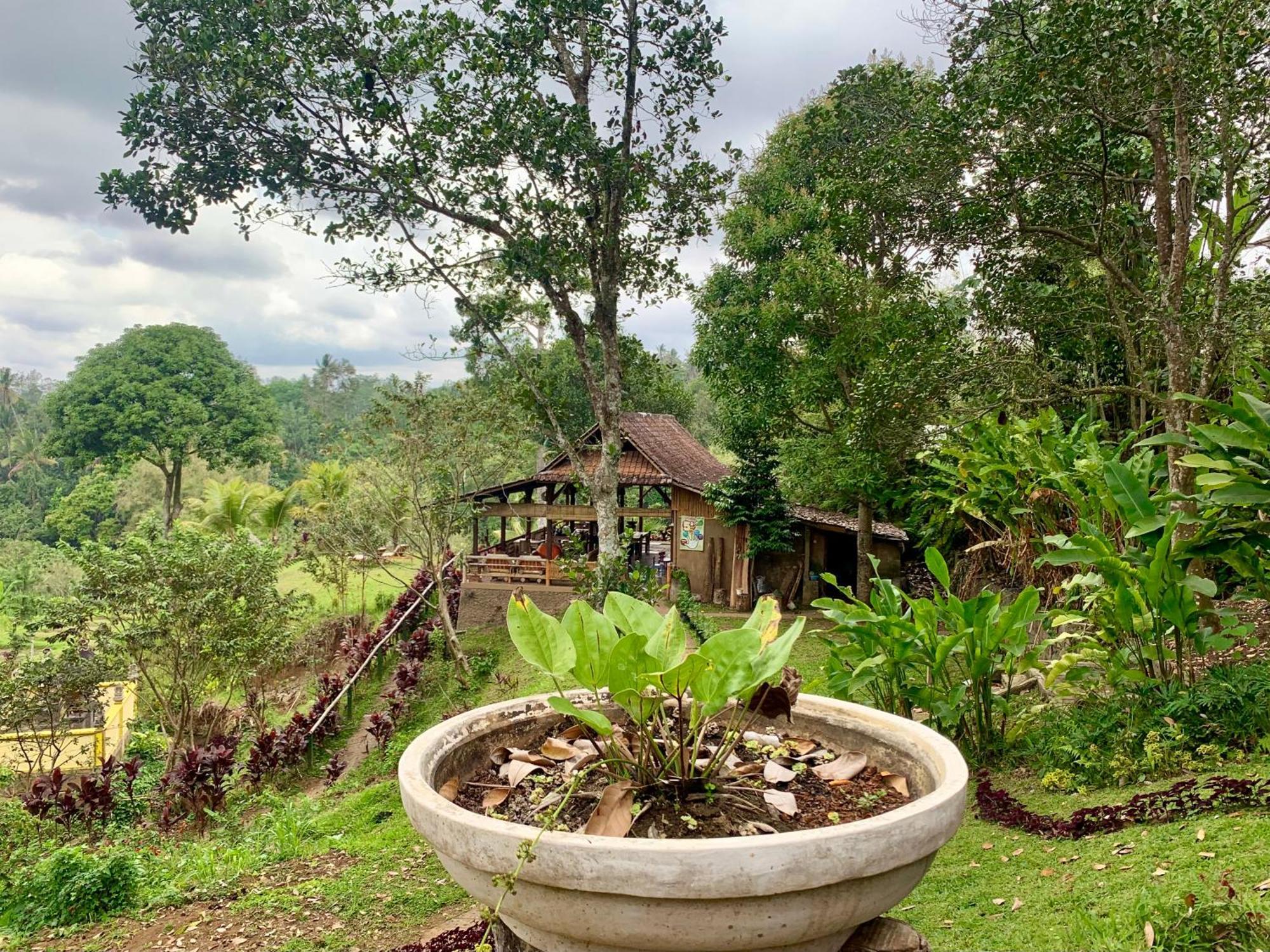 Sang Tirta Resort Penebel Экстерьер фото